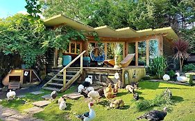 The Base Vegan Retreat Animal Sanctuary